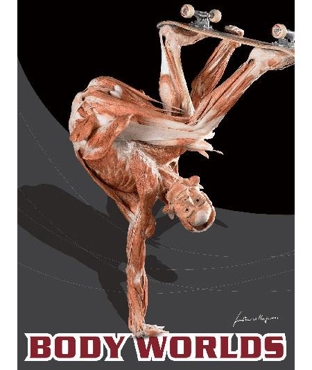 Body Worlds 3 skate poster