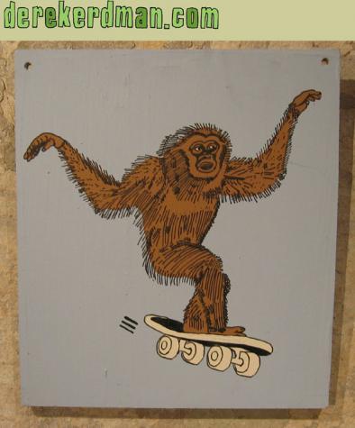 Derek Erdman - Skateboarding Gibbon 2