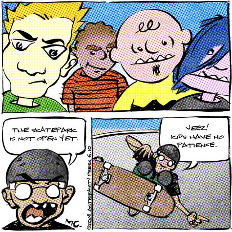skate comic about skatepark preview privileges