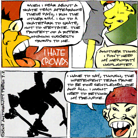 skate comic about assumptions