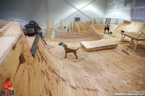wooden bowl - Modern Skate & Surf - Michigan
