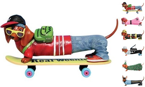 Real Weenie skateboarding Dachshund
