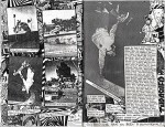 Skate and Mate 13, pages 30-31