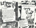 Swank Zine #6, pages 4-5