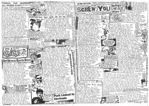 Skate Muties from the 5th Dimension #4, pages 10-11