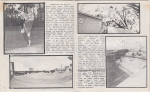 Gulf Coast Skate Review v2n5 - pages 11-12