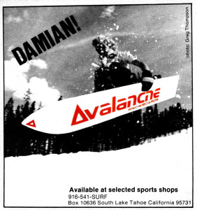 avalanche-damian