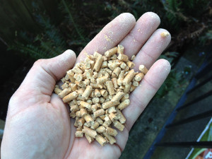 pinepellet1