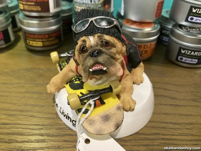 Xtreme Living with Zelda Wisdom – Skate and Annoy